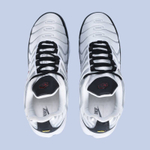 Кроссовки Nike Air Max TN арт 6215