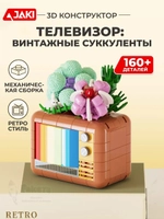 3Д конструктор Телевизор: винтажные суккуленты
