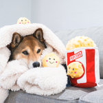 Развивающая игрушка Zippy Burrow Ведро попкорна ZippyPaws