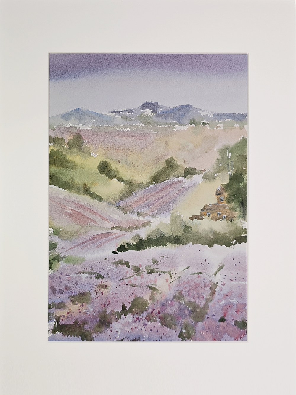 Картина авторская акварельная в паспарту 30х40 см на стену для интерьера "Поля лаванды"