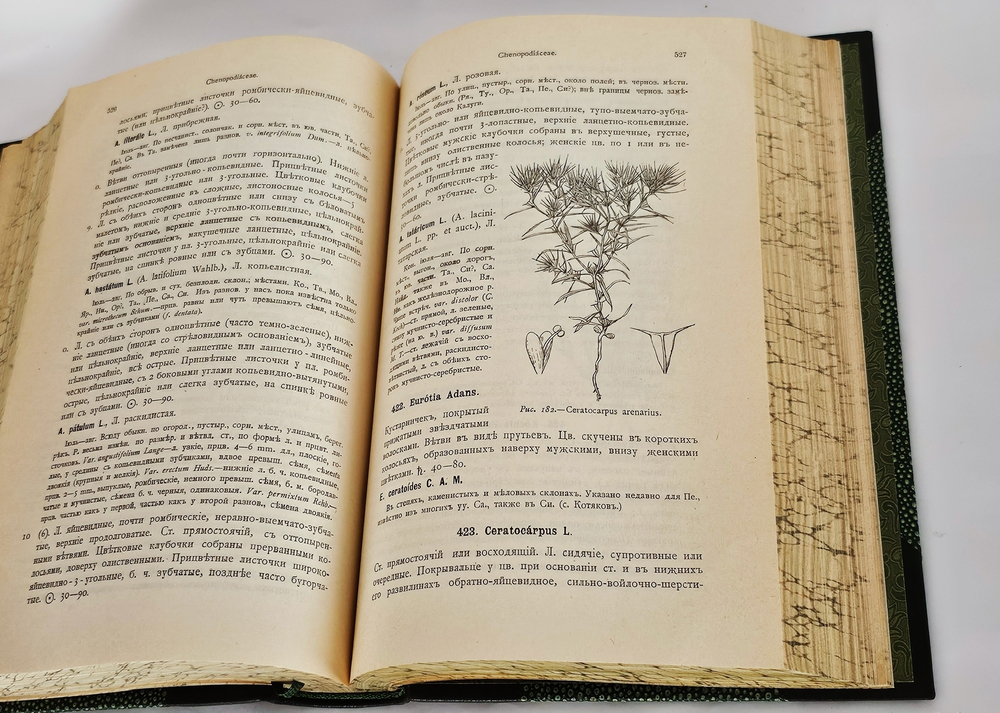 "Флора Средней России. Иллюстрированное руководство к определению среднерусских семенных и сосудистых споровых растений". П.Ф. Маевский, доп. Д.И. Литвиновым. 1917 г.