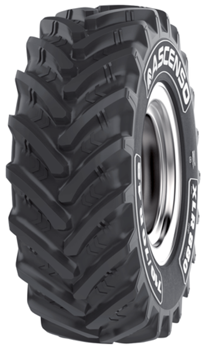 710/75R42 cat.no 3001040126 XLR880 175D TL Ascenso