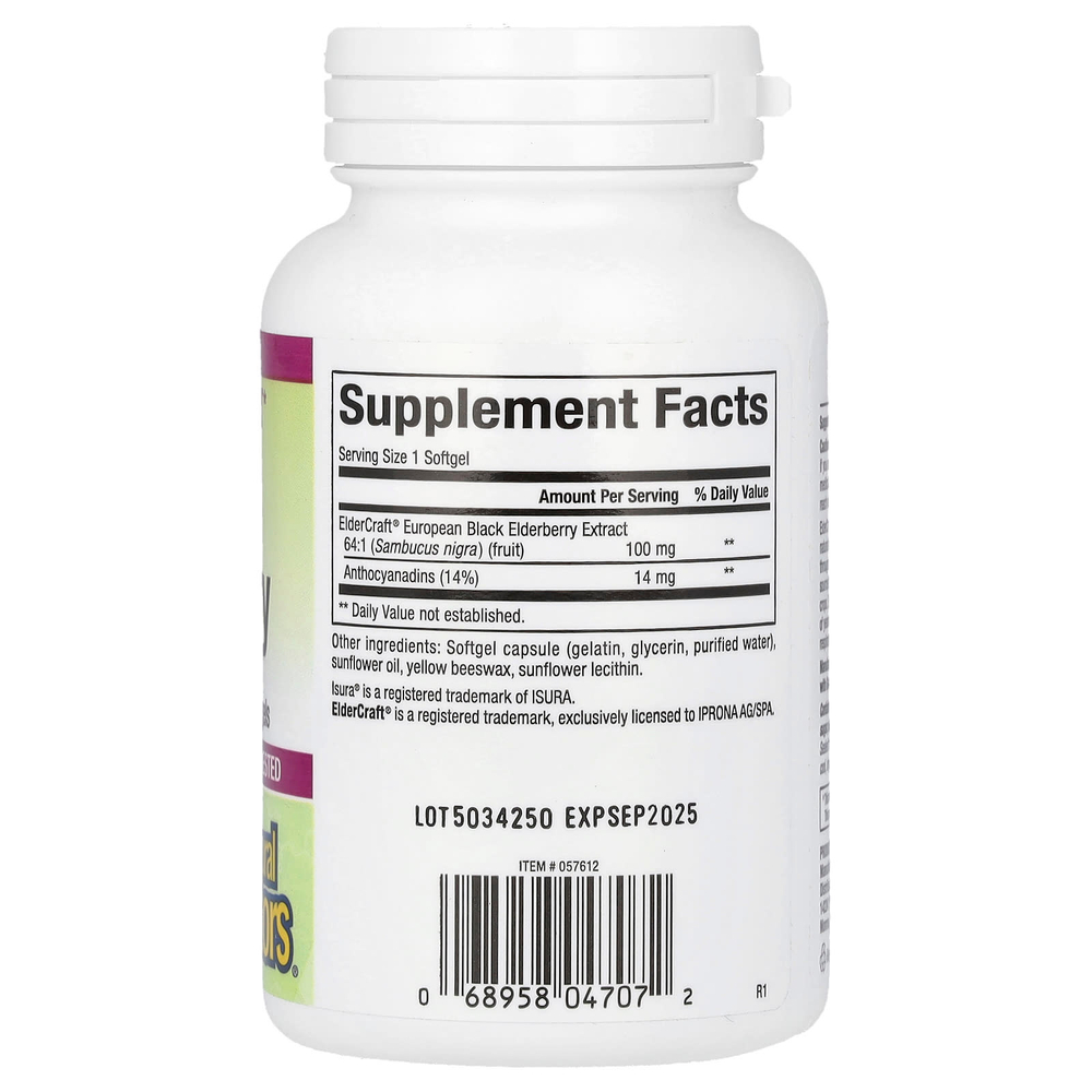 Natural Factors, черная бузина, 100 мг, 120 быстродействующих капсул