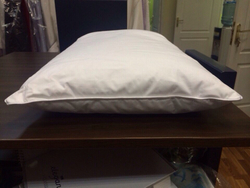 Подушка 50x70 Billerbeck Ambiente фото