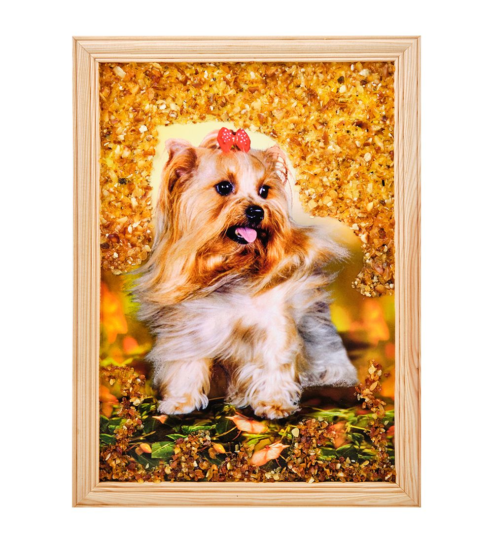 AMB-51/66 Картина «Йоркшир терьер» (с янтарной крошкой) дер.рамка 21х30