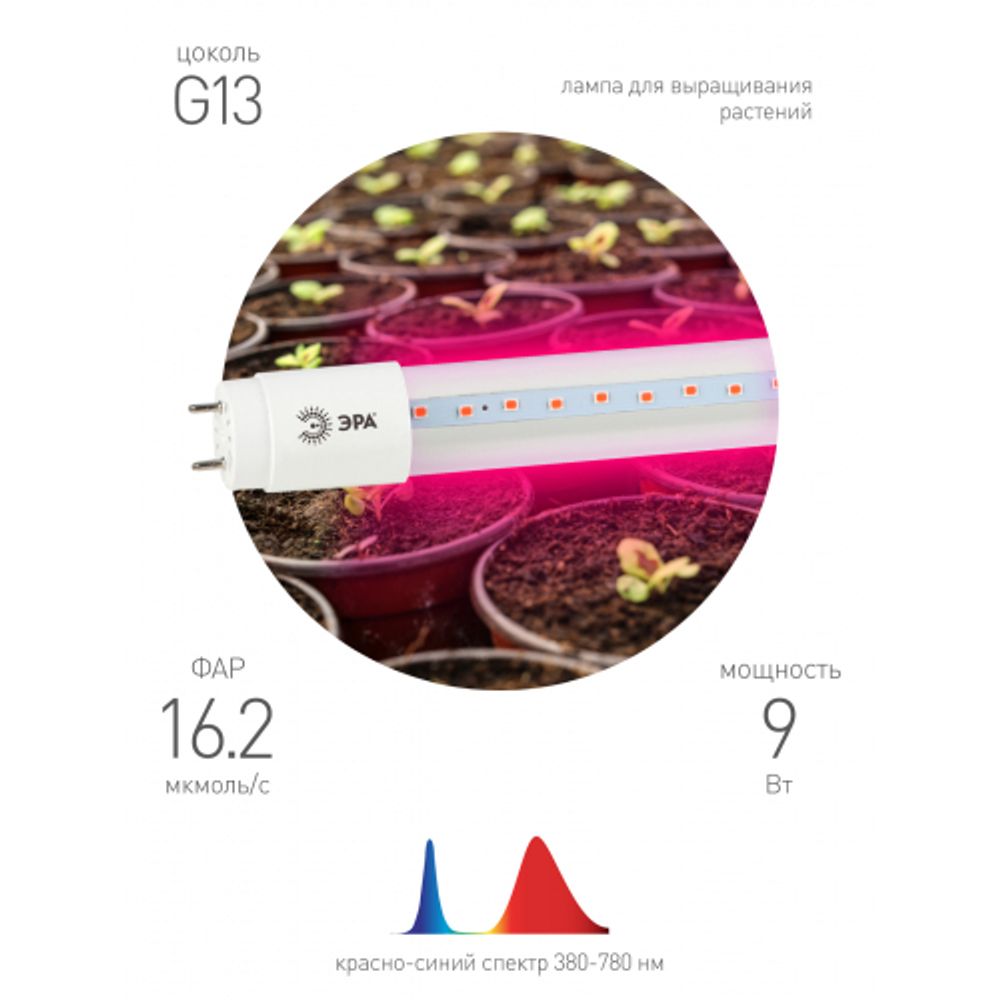 Фитолампа для растений светодиодная ЭРА FITO-9W-RB-Т8-G13-NL и мясных прилавков 9 Вт Т8 G13 красно-синего спектра