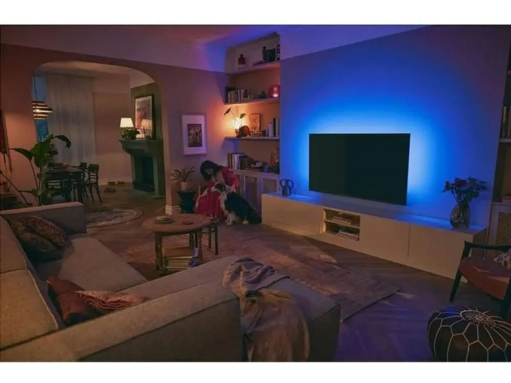 LED телевизор Philips 55PUS8729/60 4K Ultra HD