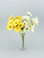 Букет Календулы