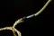 Nobunaga Labs SUPREME Enkidu 2pin - 3.5mm