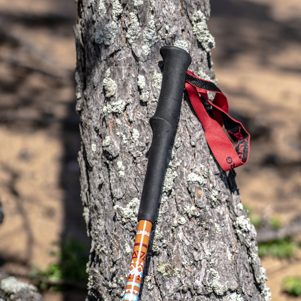 ПАЛКИ ТРЕККИНГОВЫЕ TALBERG RANGER POLE