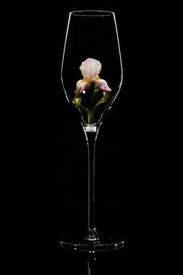 Бокал для шампанского Флюте. / Ирис. Нежно-сиреневый.