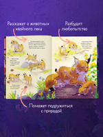 Удивительные животные. Маленький рысёнок. Приключения в лесу