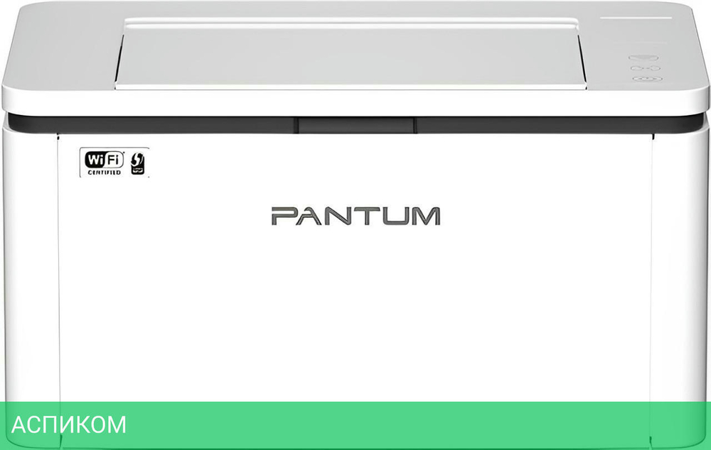 Принтер Pantum BP2300W