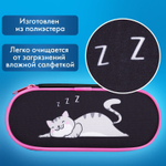 Пенал-футляр BRAUBERG 1 отделение органайзер полиэстер 22x9х5 см "Don't wake up" (2 штуки в упаковке)
