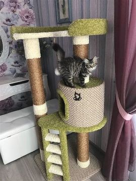 Домик для кошки Н-7