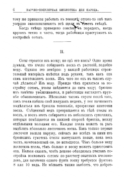 Пчелы, осы и термиты | Лункевич Валериан Викторович
