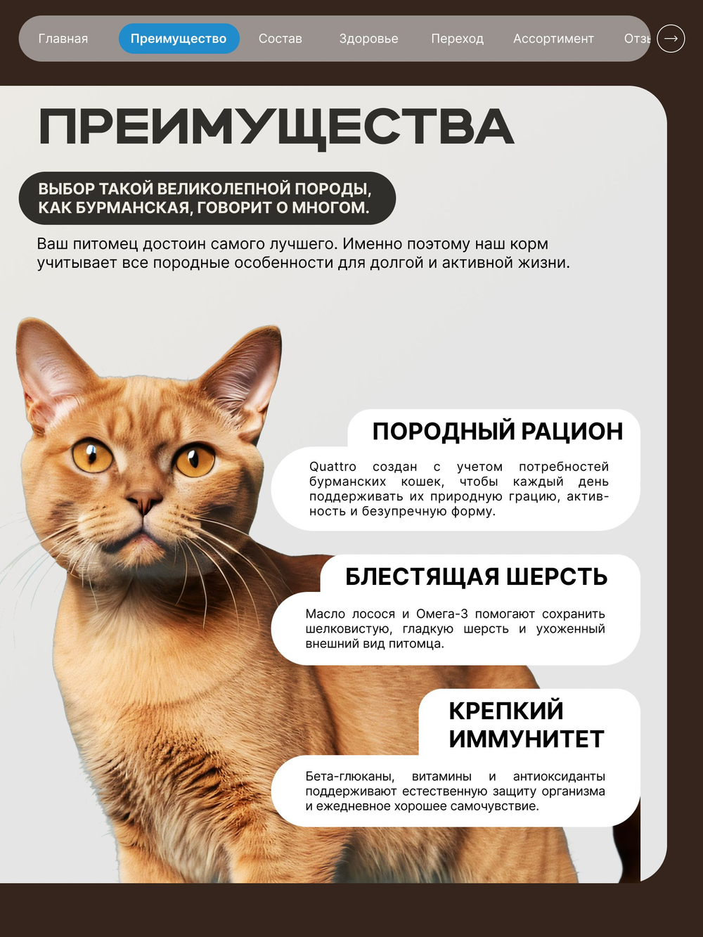 Корм сухой для взрослых кошек породы Бурманская, с лососем, 5 кг, QUATTRO