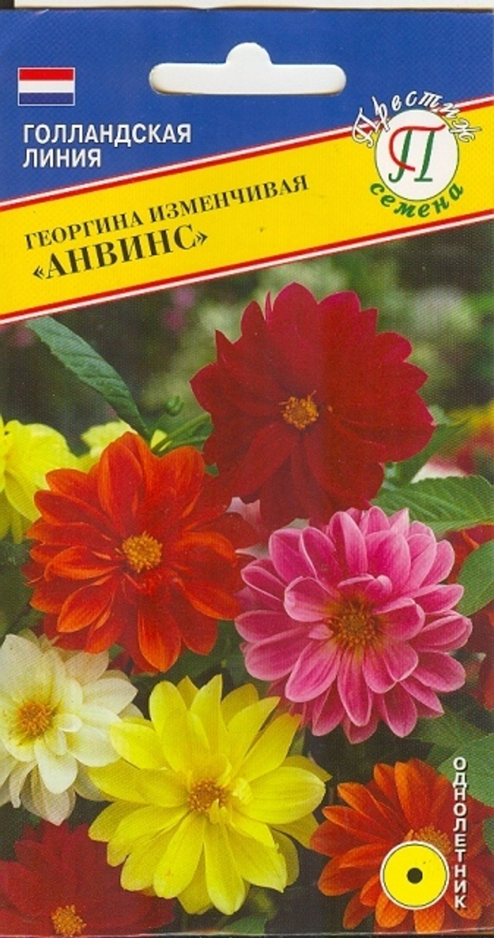 Георгина Анвинс Престиж