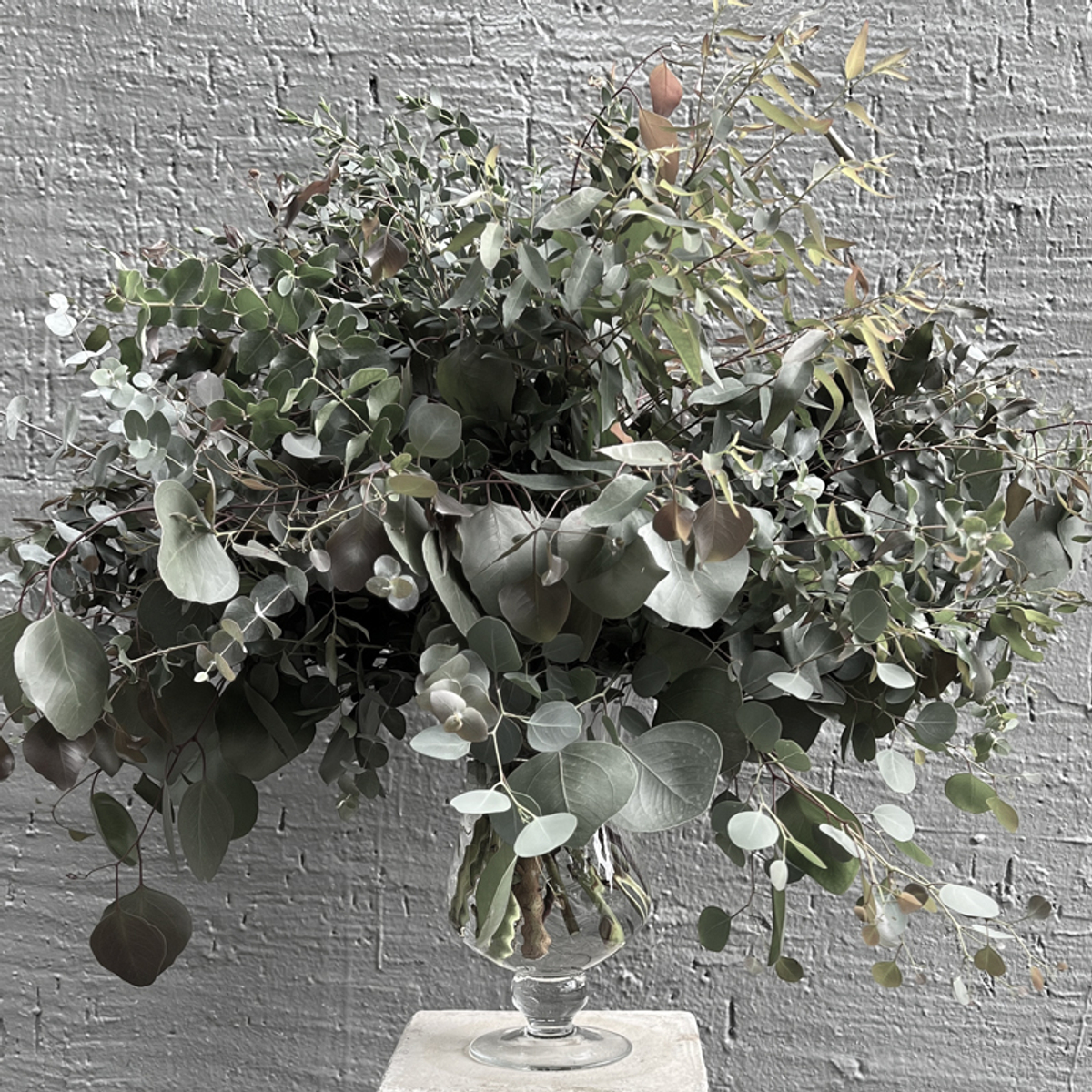 🍀 Музыка трепетных листьев — звучание множества сортов эвкалипта — Ø ~ 90 см