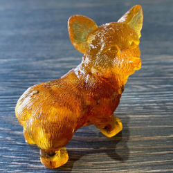 Корги