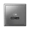 Розетка USB ArtGallery тип C 65Вт QC PD высокоскор. ЗУ механизм сталь SE GAL000927