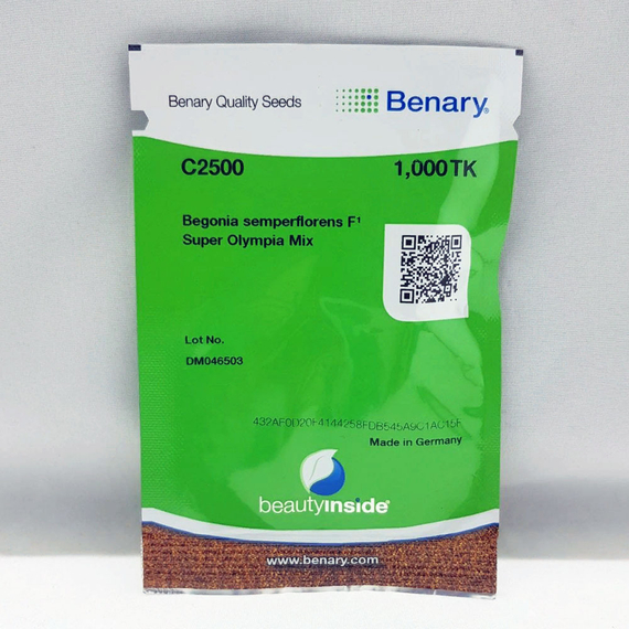 Бегония вечноцветущая SUPER OLIMPIA BICOLOR – фото 2