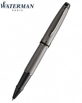 Ручка- роллер WatermanExpert Silver 2119255