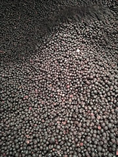 Черника замороженная (электронная очистка) Китай / Коробка 10кг