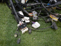 DSCN2175.jpg