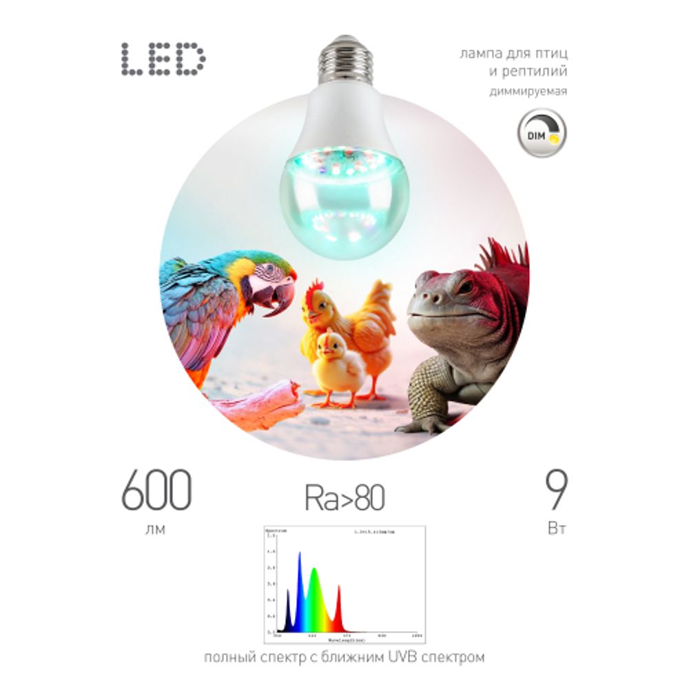 Лампа для птиц и рептилий ЭРА Chicken с UVB спектром FITO-Dim 9W E27 | Лампы для птиц и рептилий