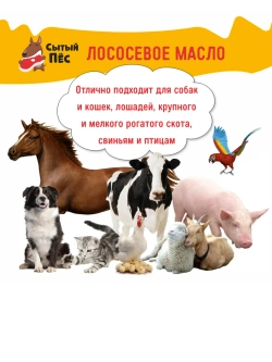 Рыбий жир форелевый 5 л, лососевое масло ТД ЗКМ