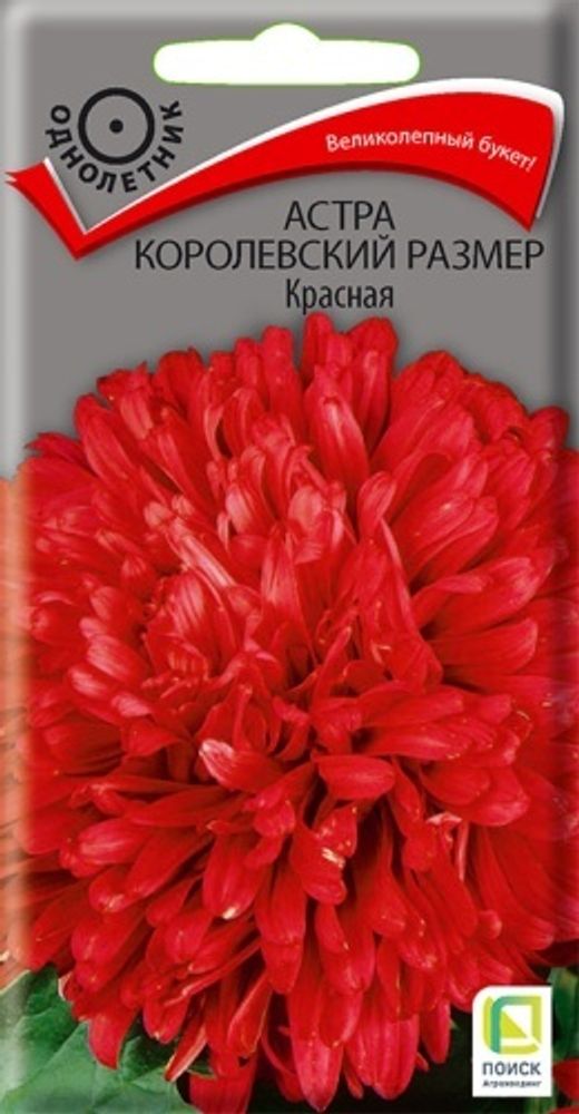 Астра королевский размер Красная 0,1гр Поиск