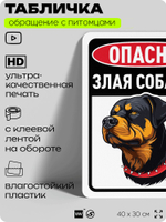 Табличка "Опасно, злая собака" на дверь и забор, для двора, дома, подъезда, 40х30 см, Silver Plane x Айдентика Технолоджи