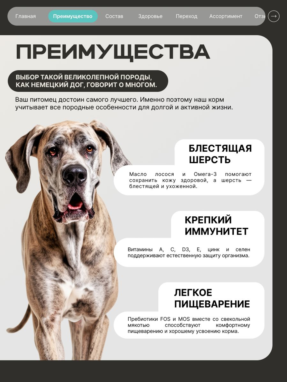 Корм для взрослых собак породы Немецкий дог, с кроликом, 12 кг, QUATTRO
