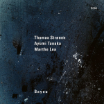Thomas Stronen Trio / Bayou (LP)