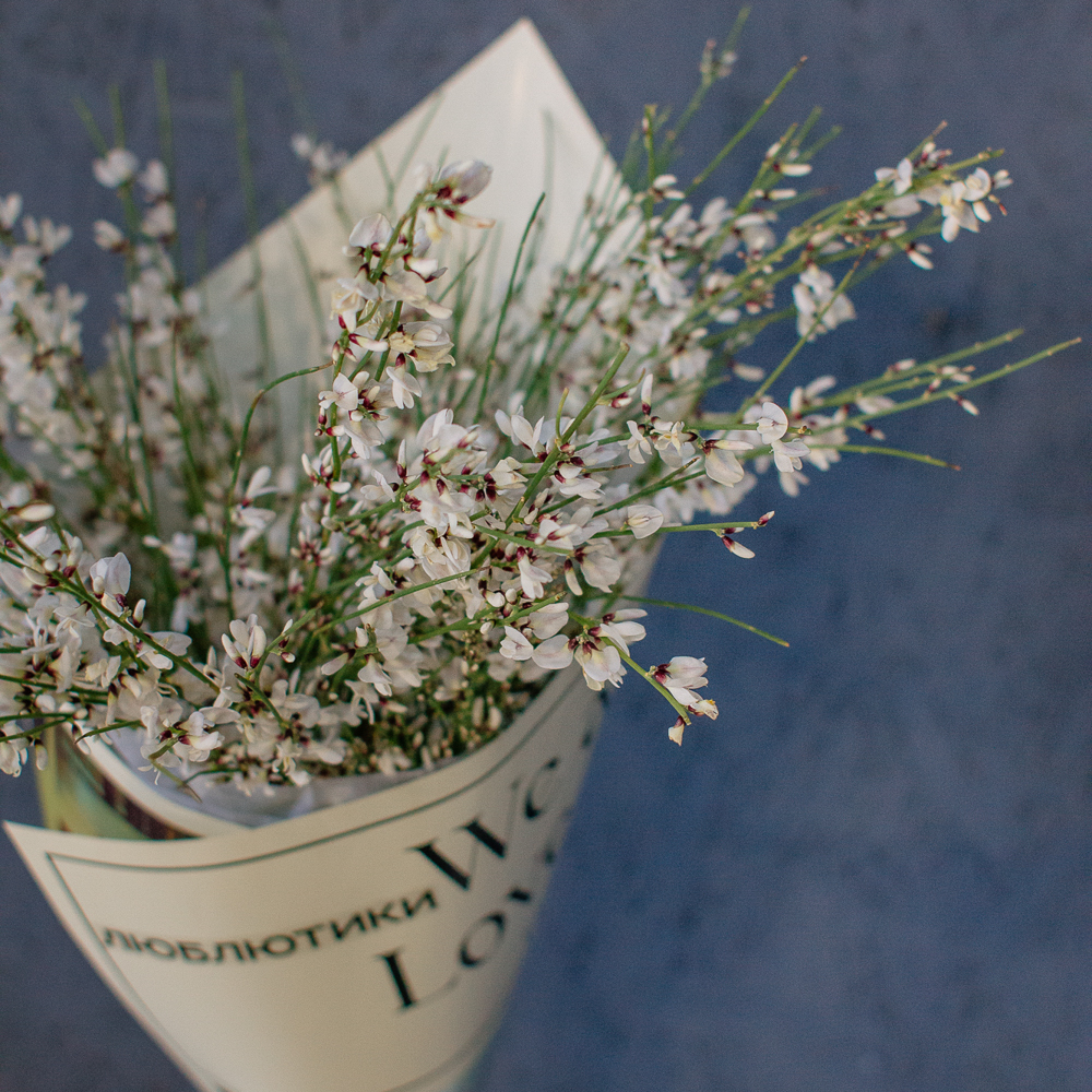 154. Весенний букет из ароматной генисты