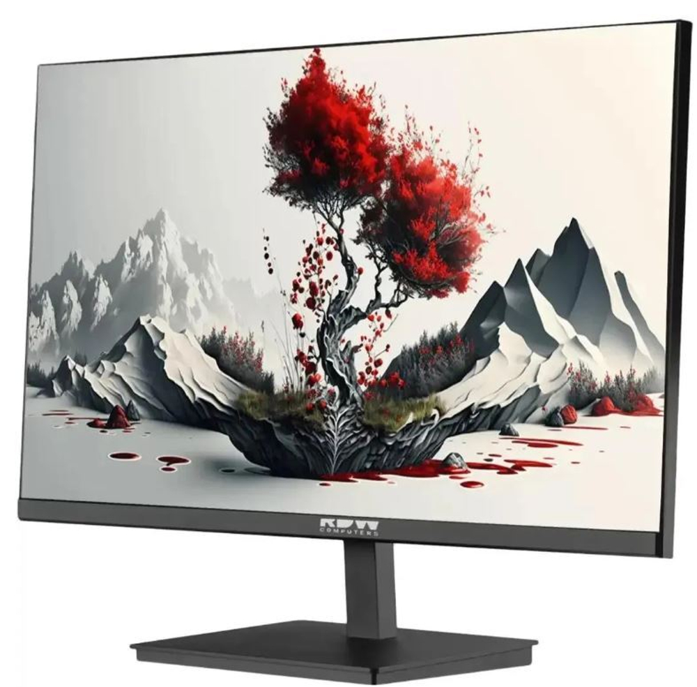 Монитор 23,8" RDW Computers 2401K/F00В3100V2A1H
