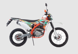 Кроссовый мотоцикл BSE Z6 Y 250e 21/18 2 (ПТС)