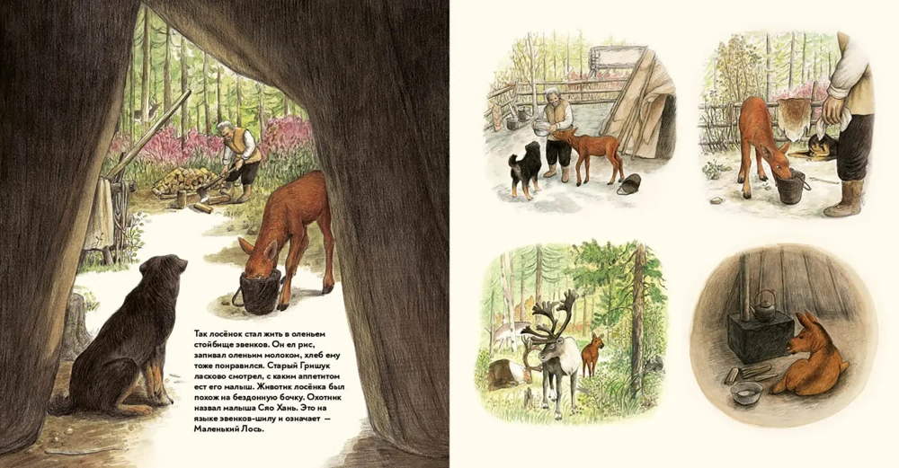 Сяо Хань - Маленький лось