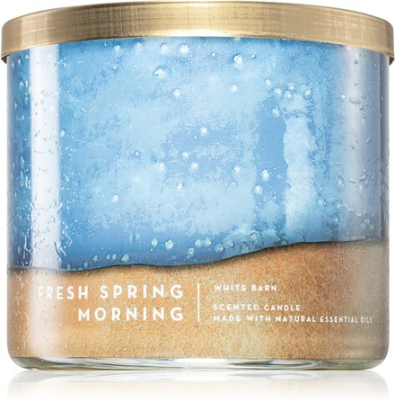 Bath & Body Works Fresh Spring Morning - ароматическая свеча /   411  g  / GTIN 2800016850495