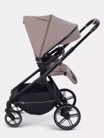 Прогулочная коляска Rant Moss 2025