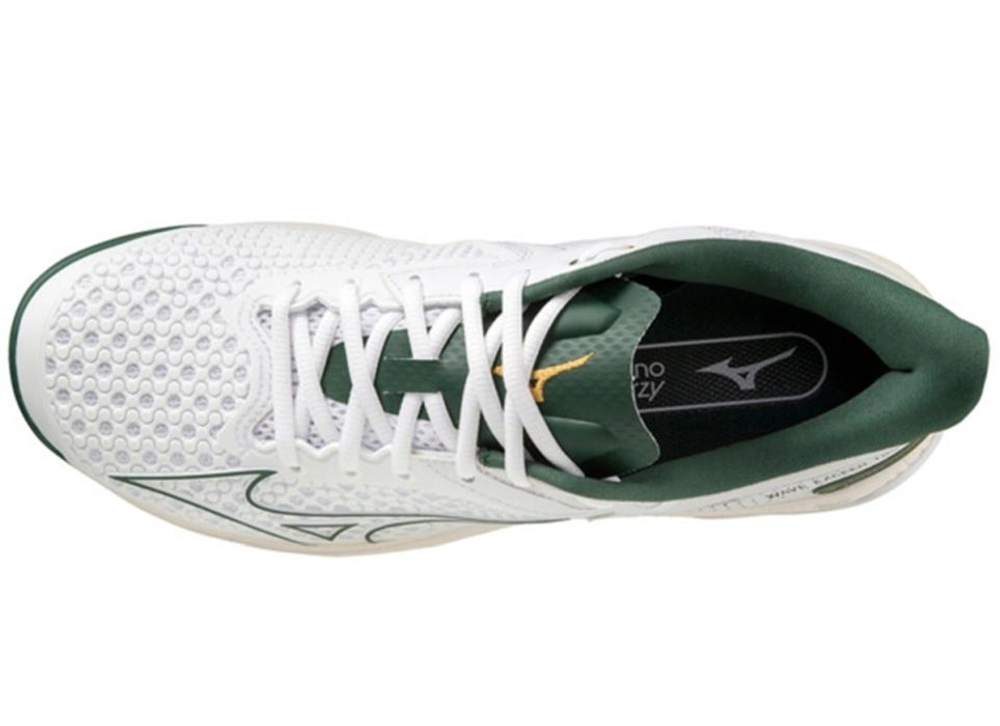 Теннисные кроссовки Mizuno Wave Exceed Tour 5 AC - white/pineneedle/papyrus