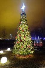 Светодинамическая елка ствольная: с встроенной гирляндой - "Альпийская" 22 м