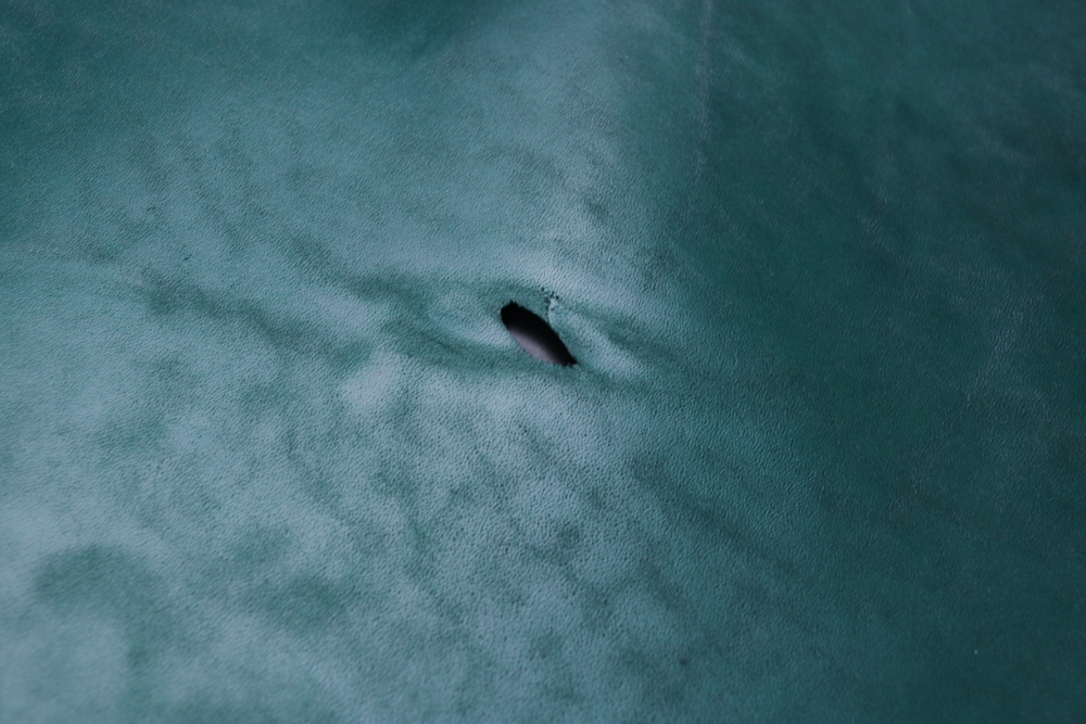 Уценка: 1,2-1,4 Юфть Хаки с лицевым покрытием 170дм²