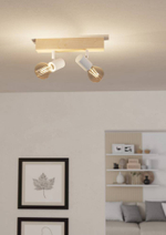 Спот Eglo TOWNSHEND 3 99483