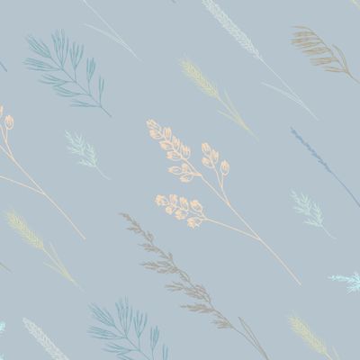 Луговые травы колоски серый