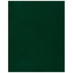 Тетрадь общая BG, А4, 96 листов в клетку, обложка бумвинил, зеленый, эконом