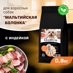 Корм сухой для взрослых собак породы Мальтийская болонка, с индейкой, 800 гр, QUATTRO