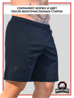 Шорты LEGENDA Urban синий